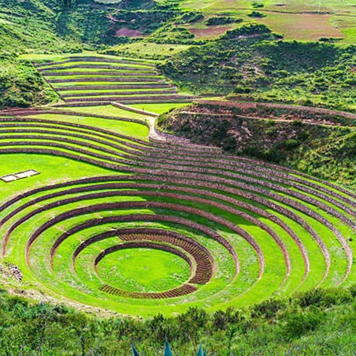 Mexican Chiapas Nutty